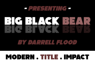 Big Black Bear: A Bold Sans Serif Typeface for Web Design