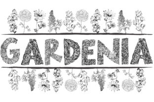 Designing with Gardenia LF: A Hand-Drawn Typeface for Editorial Beauty