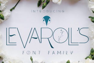 Leva Rolls: A Delicate Sans Serif Font for Branding