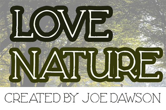 Love Nature Font Review: A Playful Serif for Web Design