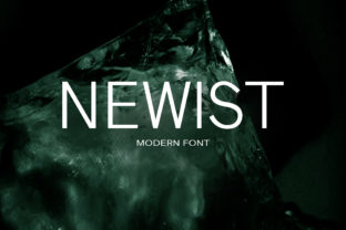 Newist Typeface: A Playful Sans Serif for Editorial Design