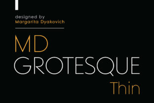 Why MD Grotesque Thin Is the Perfect Typeface for Small Brands